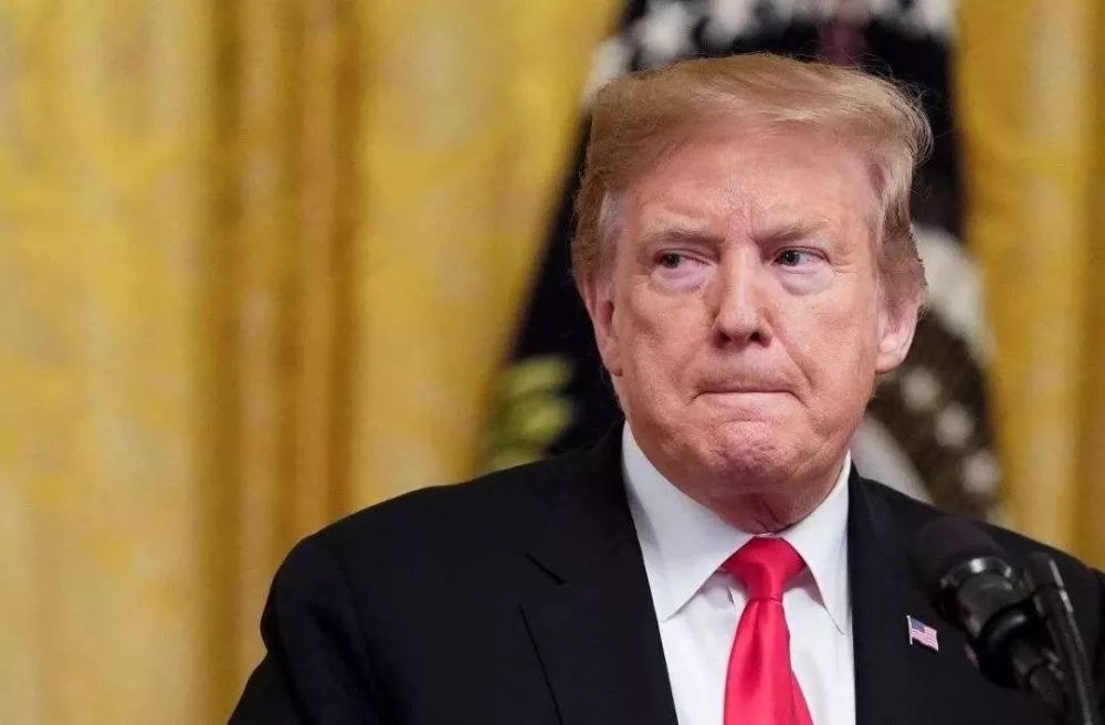 美国最新特朗普疫情，观点论述分析