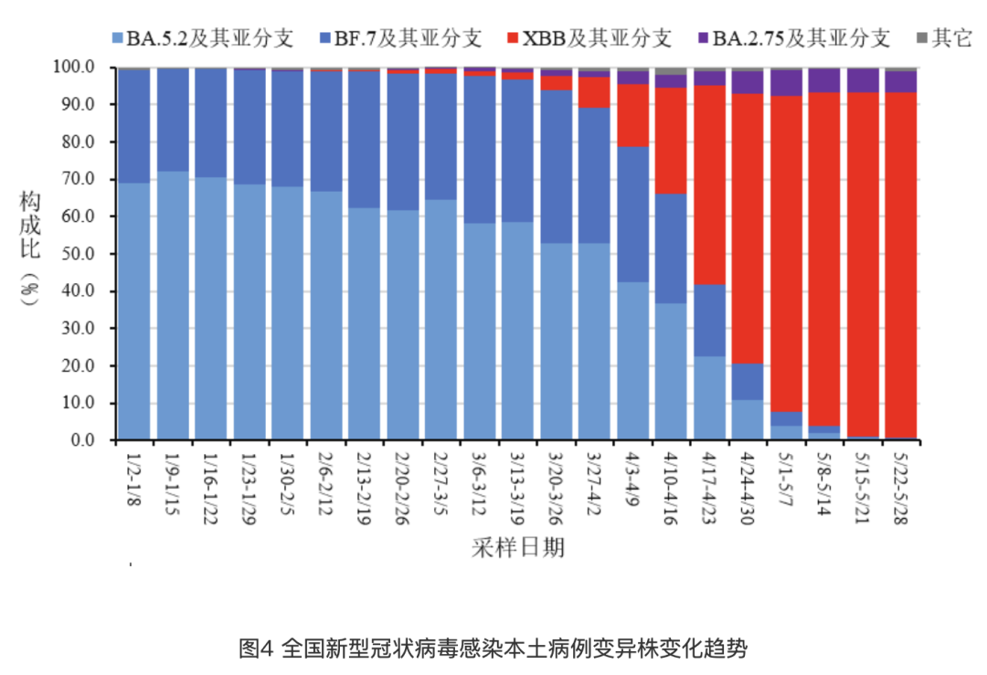 新冠病毒疫情最新反弹,新冠病毒疫情最新反弹，一场突如其来的欢乐挑战