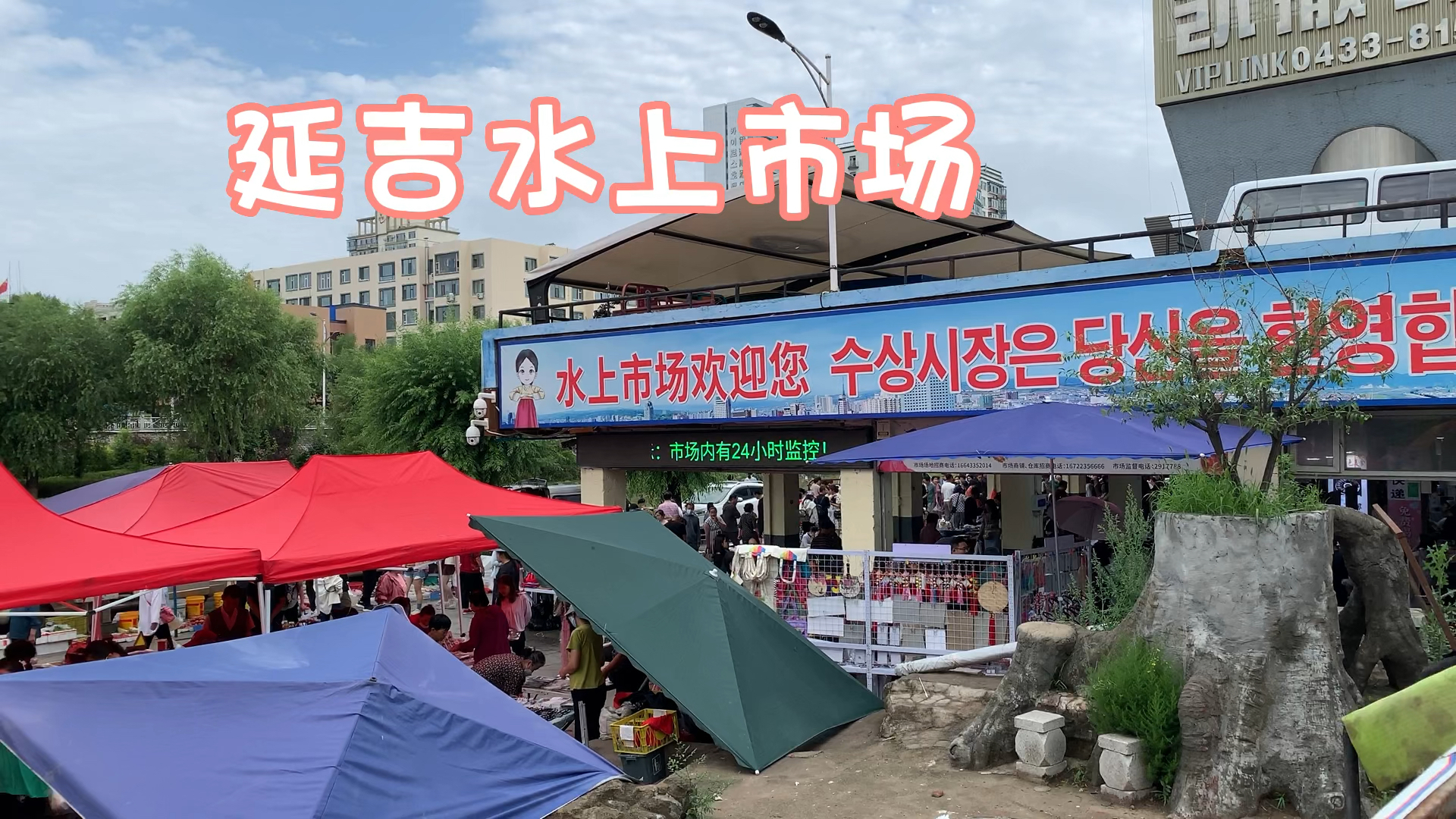 延吉水上市场最新动态，繁荣与发展共鉴的繁荣景象