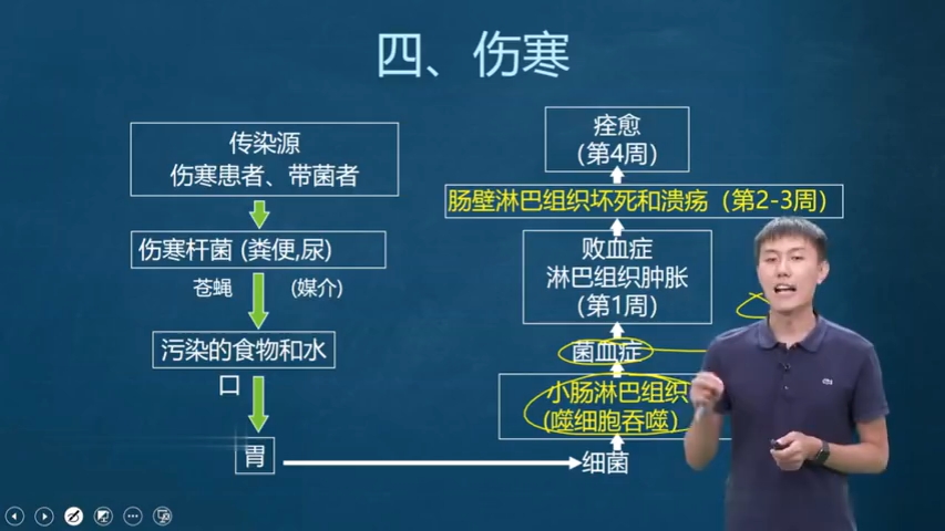 徐琦病理学最新,徐琦病理学最新,一场与自然美景的旅行对话