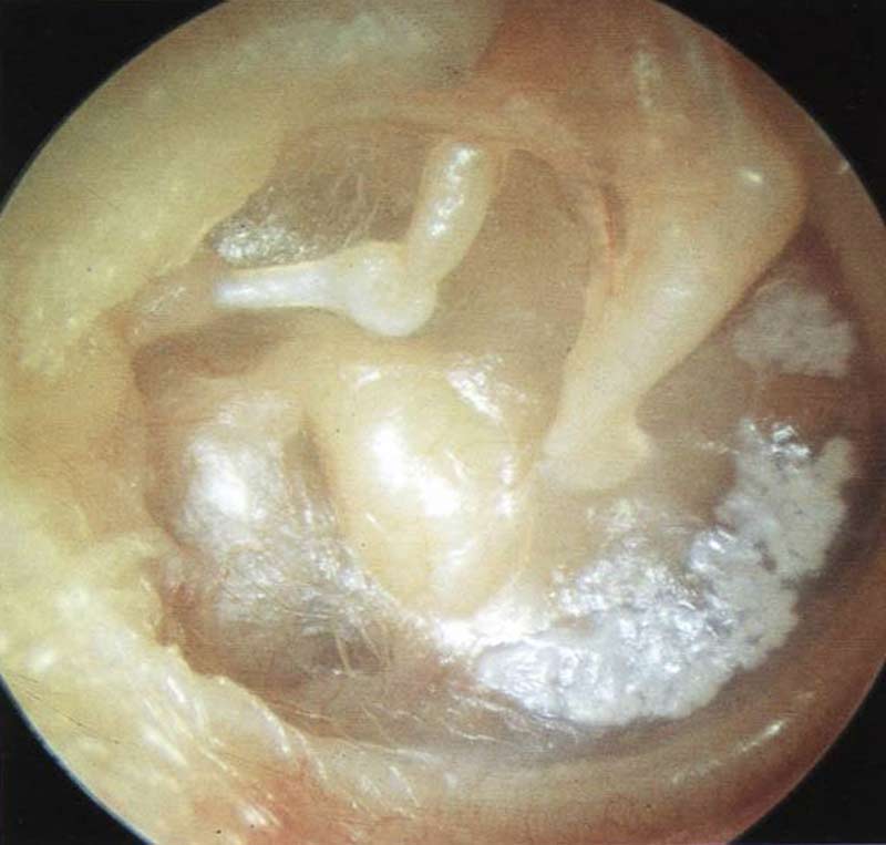 市政设施管理 第264页