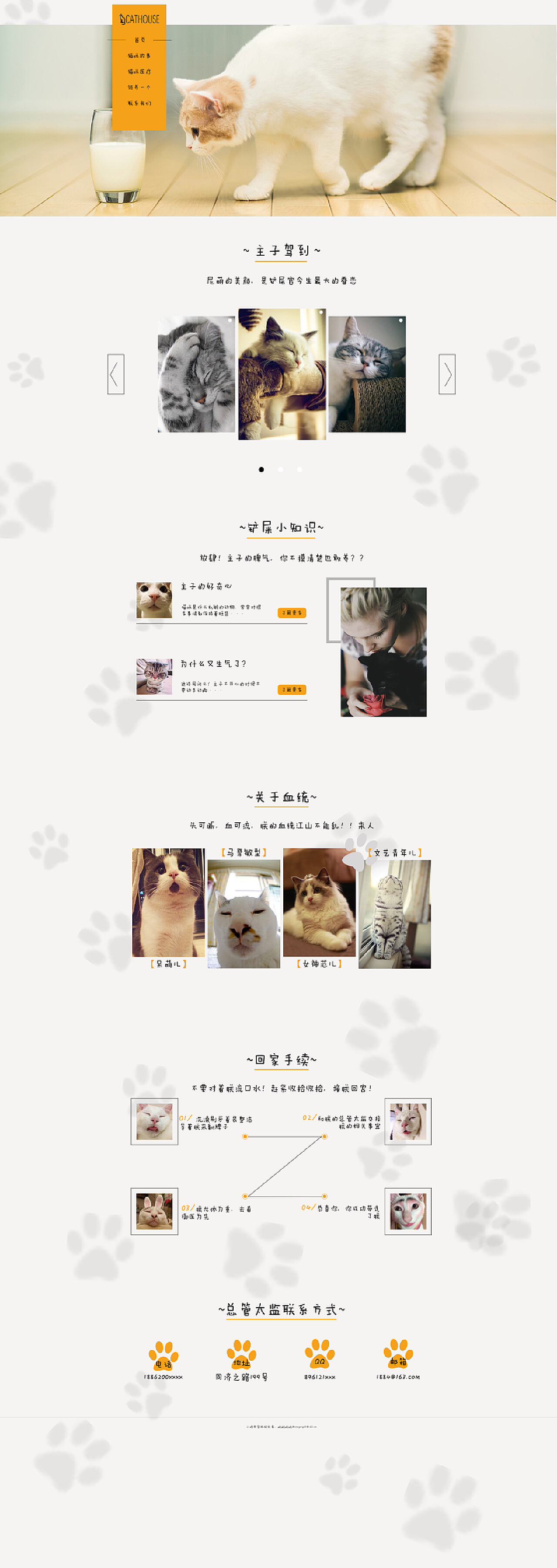 猫咪最新域名地址网站,记录猫咪的温馨日常故事