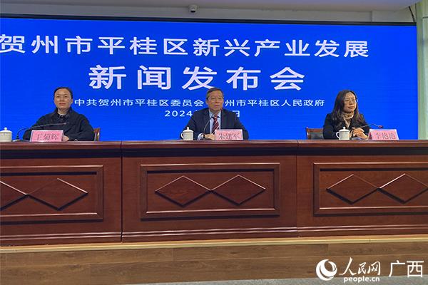 贺州市平桂最新指南,任务完成与技能学习(适合初学者与进阶用户)