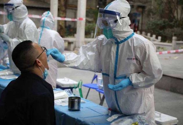 天津市最新疫情下的自然探索之旅，寻求内心宁静与平和