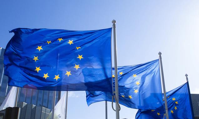 中国和欧盟最新的情况,中国与欧盟,最新情况探析