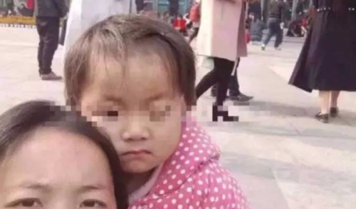 小凤雅的欢乐日常,最新消息与温馨小故事回顾