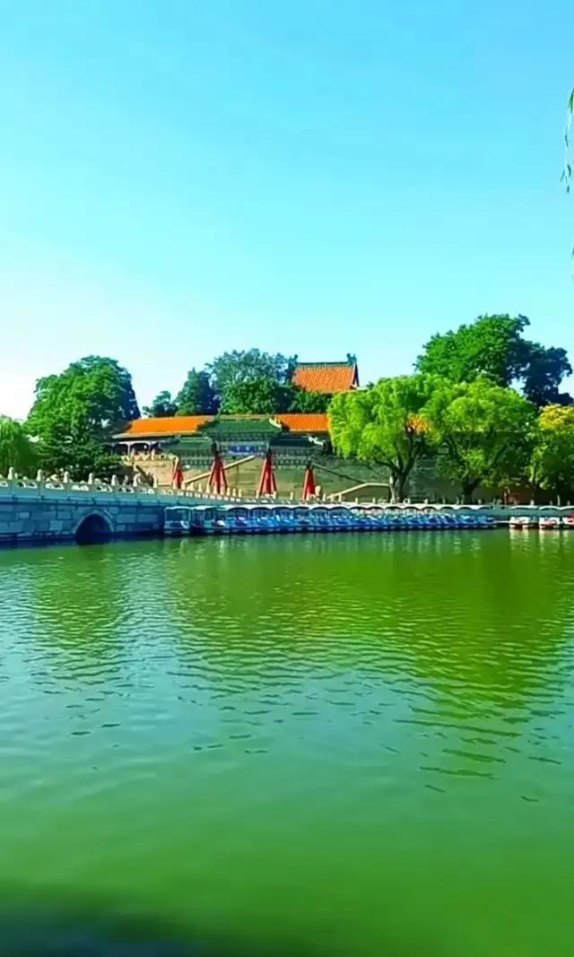 最新爆款风景视频素材