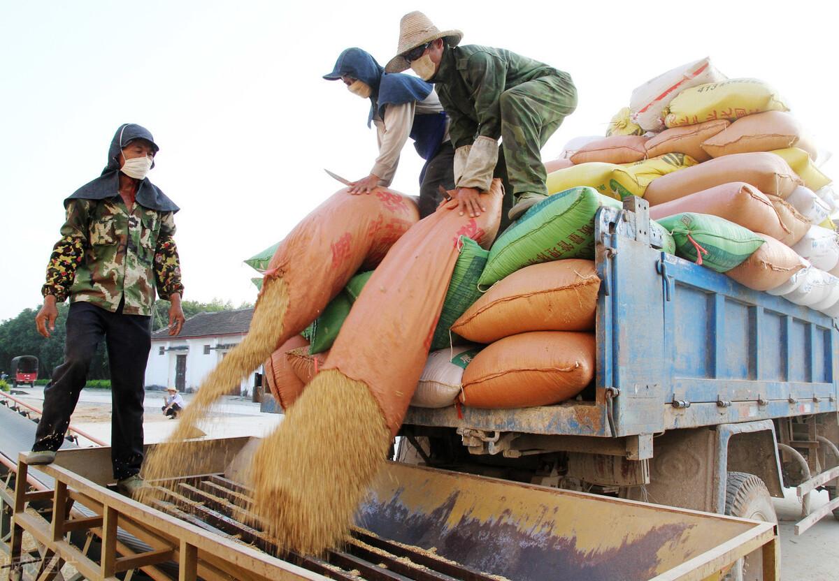 周期涨价最新消息,周期涨价最新消息详解,如何掌握周期涨价信息获取与分析技能