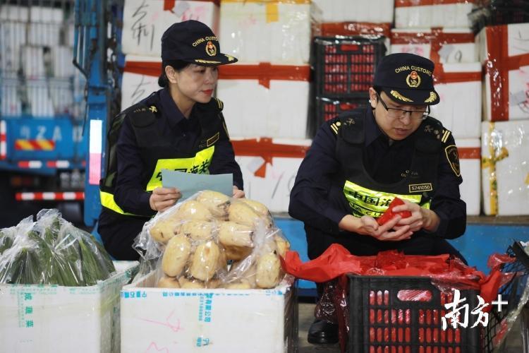 澳门出境最新政策解读与观点分享