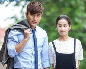 贾乃亮主演电视剧汇总