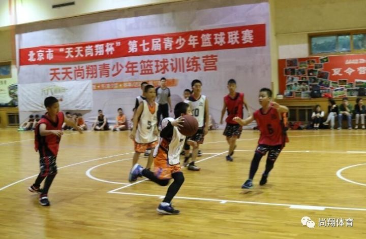 阳光下的篮球梦，北京篮球比赛的精彩故事与篮球梦之旅