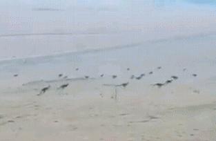 北极圈动态，探索变化之海，扬帆前行学习之旅