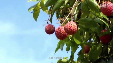 福安今日新鲜资讯