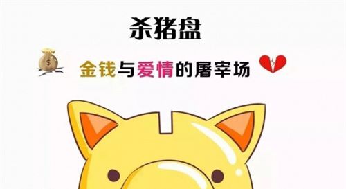 揭秘金融欺诈新动向，最新杀猪盘图片曝光