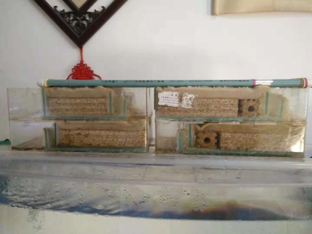 新型上滤鱼缸，未来养鱼的新选择