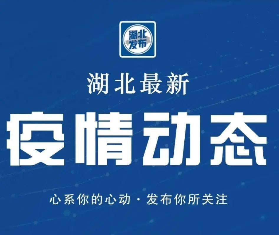 湖北最新疫情动态更新