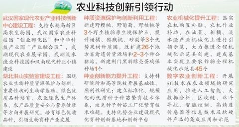 澳门一码一肖一恃一中354期,释意性描述解_掌中版93.113