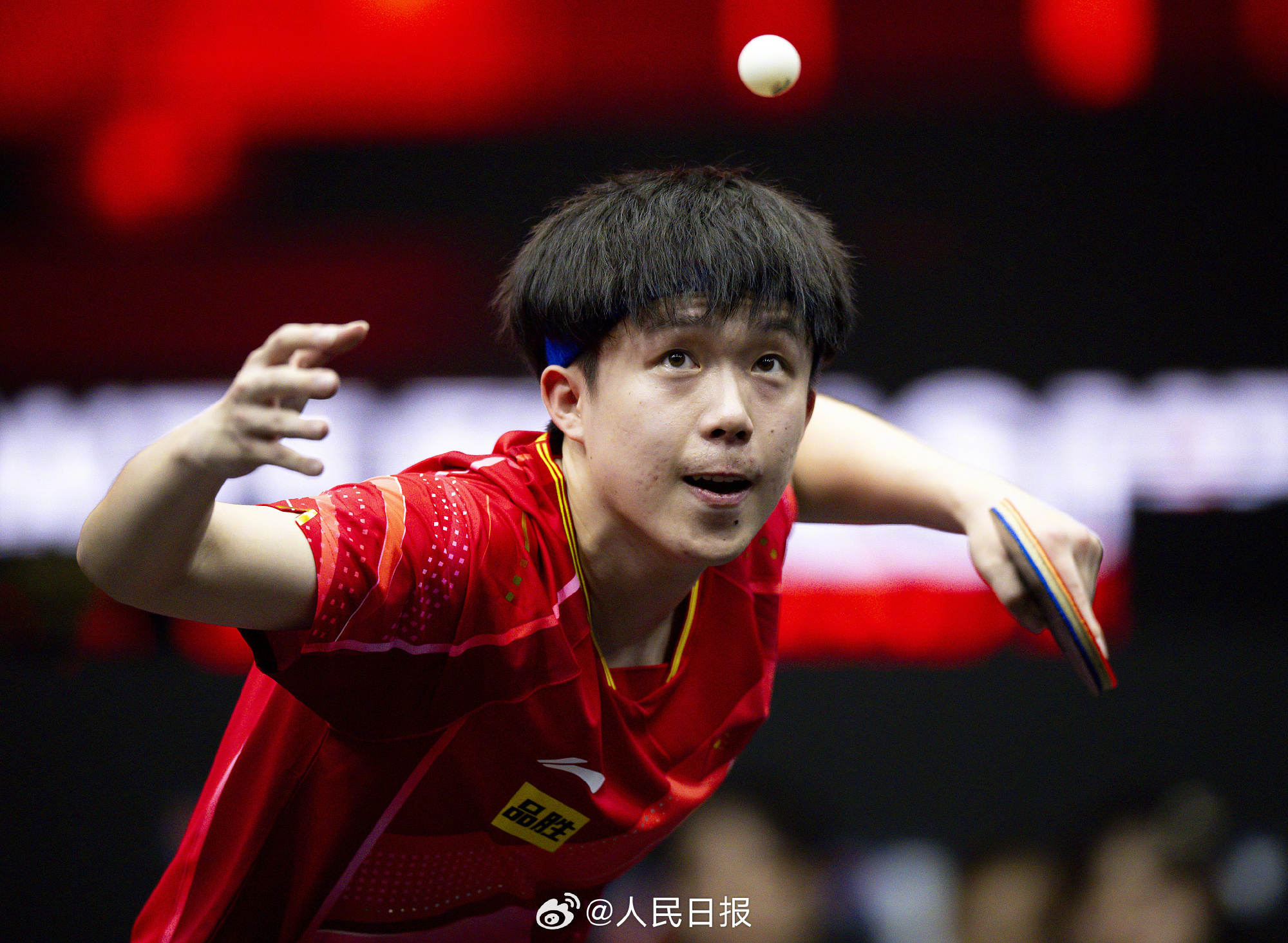 鸿昆昆仑决最新一期