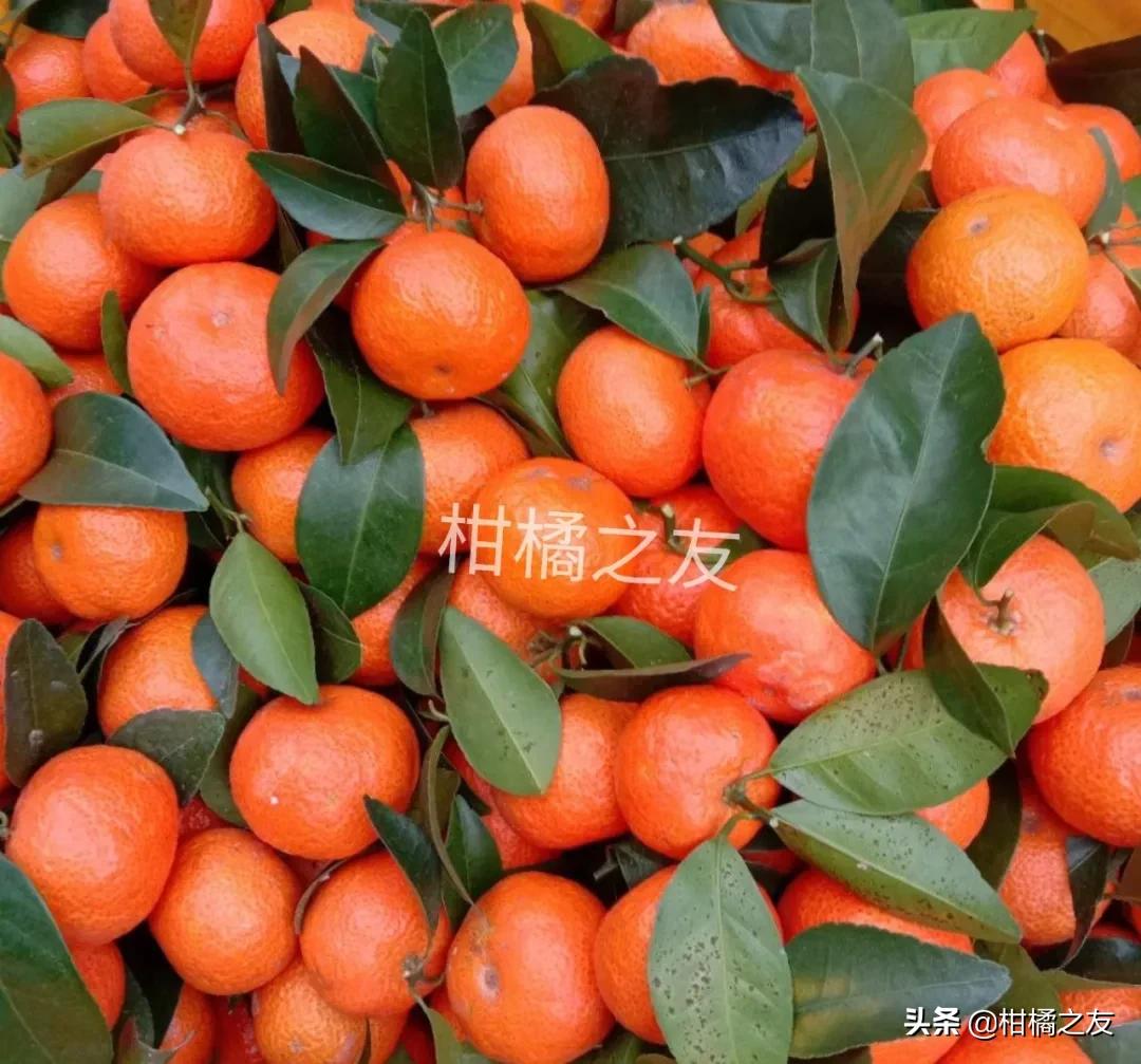 广西桂林房子价格行情,桂林的房价故事，家的温暖与友情的纽带