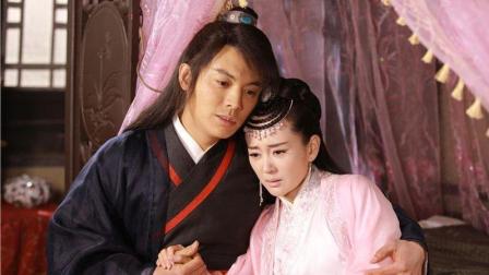 新甘十九妹，友情、亲情与陪伴的温馨日常演员表全解析