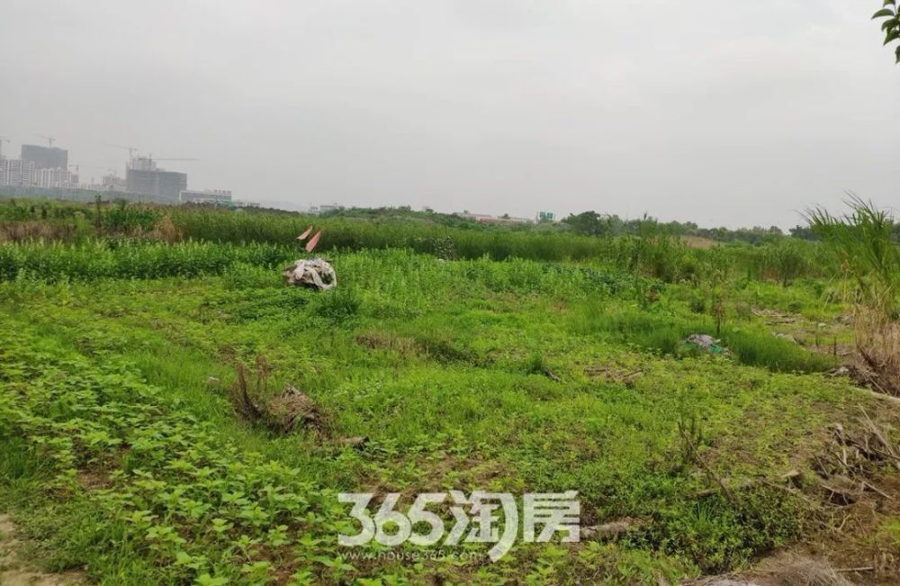 芜湖元亩塘最新动态揭秘，最新进展与水域动态探索✨