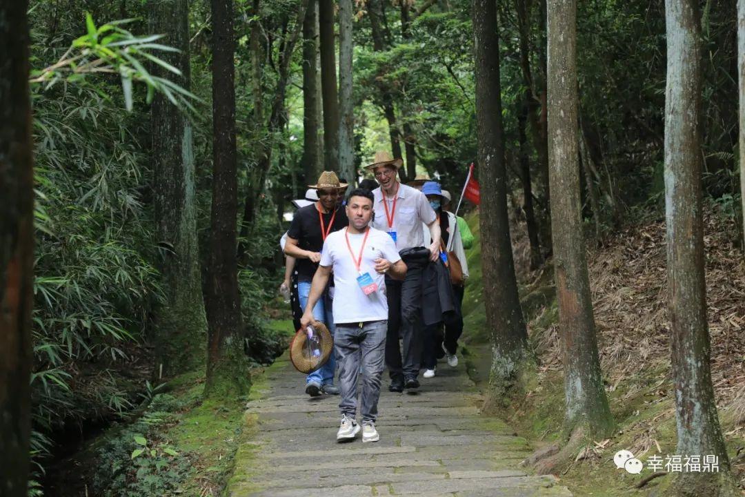 福山第一国际最新资讯，聚焦违法犯罪问题