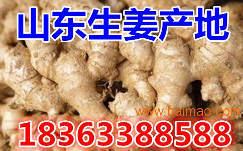 市政设施管理 第160页