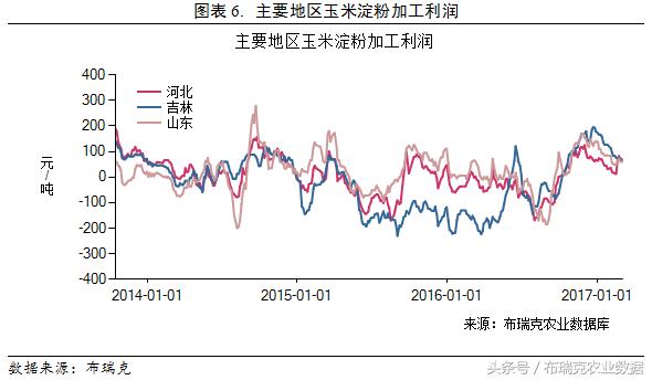 全国玉米行情走势深度解析与预测