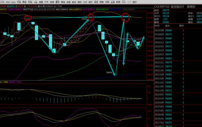 最新现货铜操作指南，深度分析结合个人观点