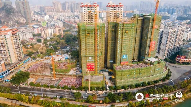 贺州绿洲家园最新动态更新