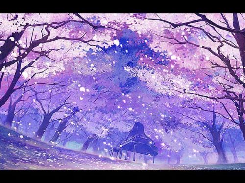 樱花动漫在线看,樱花动漫在线看，探索二次元世界的魅力