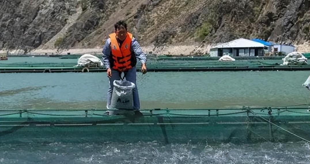 ＂2024年資料免費大全優勢的特色＂的：快速产出解决方案_进口版9.23