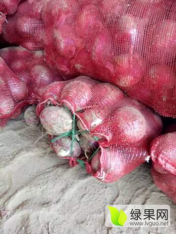 市政设施管理 第124页