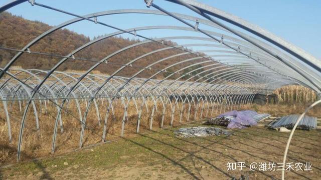大棚骨架价格，时代变迁中的农业脉络探索