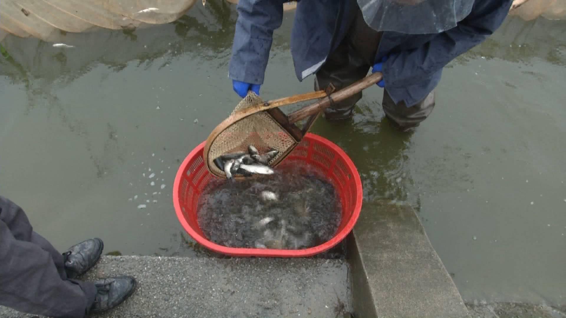 市政设施管理 第111页