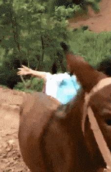 “俺去耶最新网址”