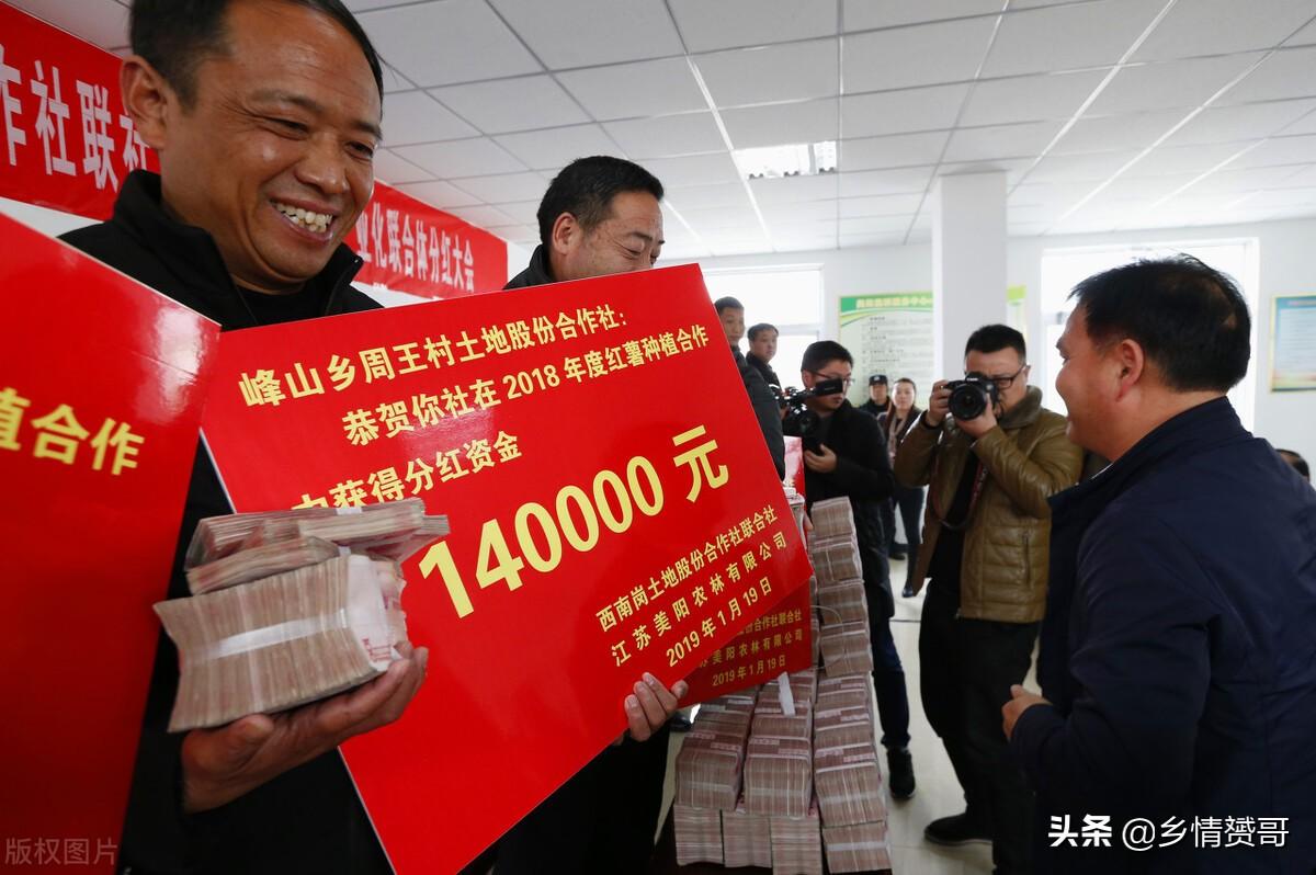 农村土地承包政策下的美食秘境与独特小巷风情探索