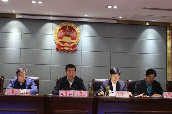 凤台县人事任免信息揭秘，温情故事背后的任命细节