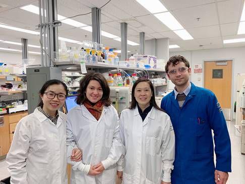 公路管理与养护 第91页