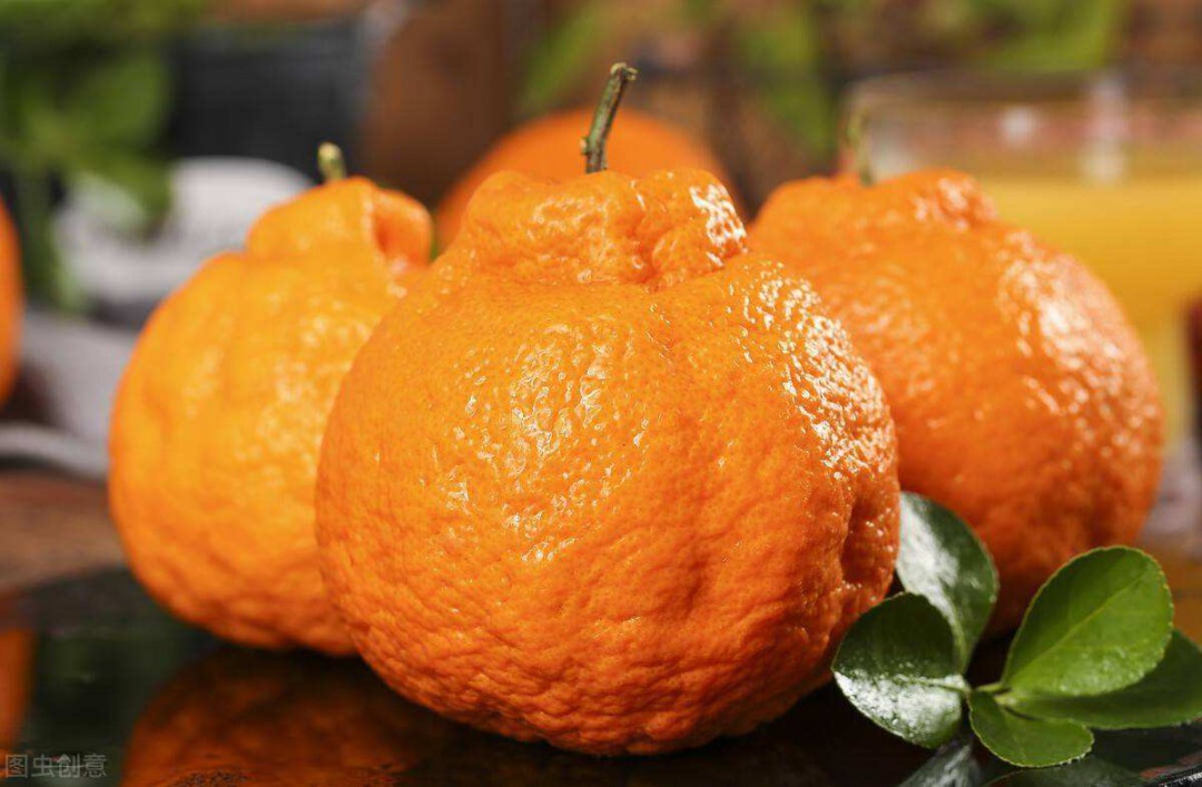 丑橘上市季节,丑橘上市季节，当新鲜遇见美味