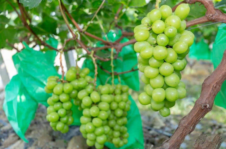 “问界最新价格调整”