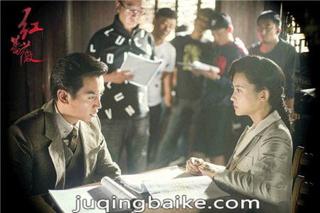 红蔷薇角色与演员魅力深度解析及演员表