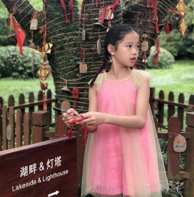 内地姓张的男演员,内地姓张的男演员，星光熠熠的演艺之路