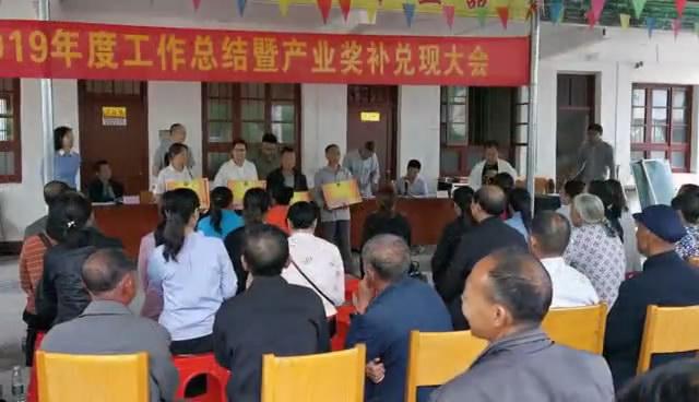 炎陵新闻最新动态