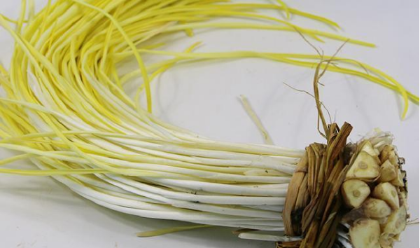 蒜黄最新价格,蒜黄最新价格，变化中的学习，成就你的自信与荣耀