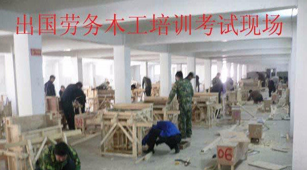 广州南沙普工招聘探索之旅，自然美景与职业发展的双重邀请