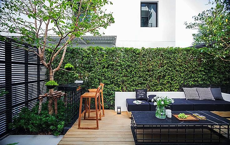 变5演员，电影背后的璀璨星辰