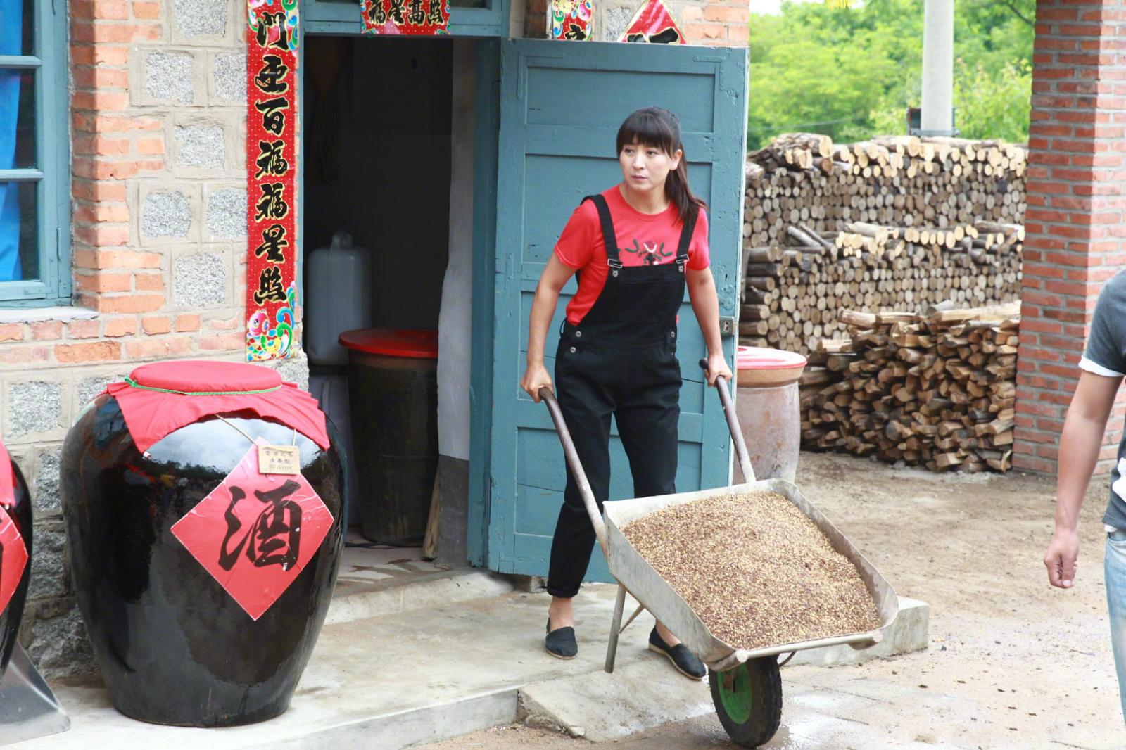 刘家媳妇演员阵容列表