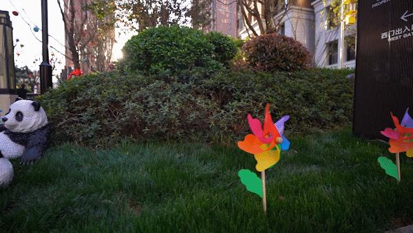 海马最新动态，创新前行，引领汽车智能时代新篇章发展