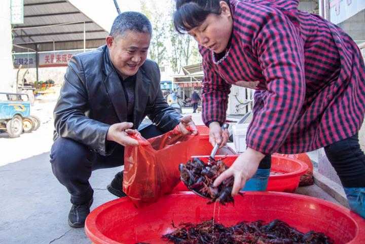 仔猪市场探秘，小巷中的独特魅力与一家特色小店的故事